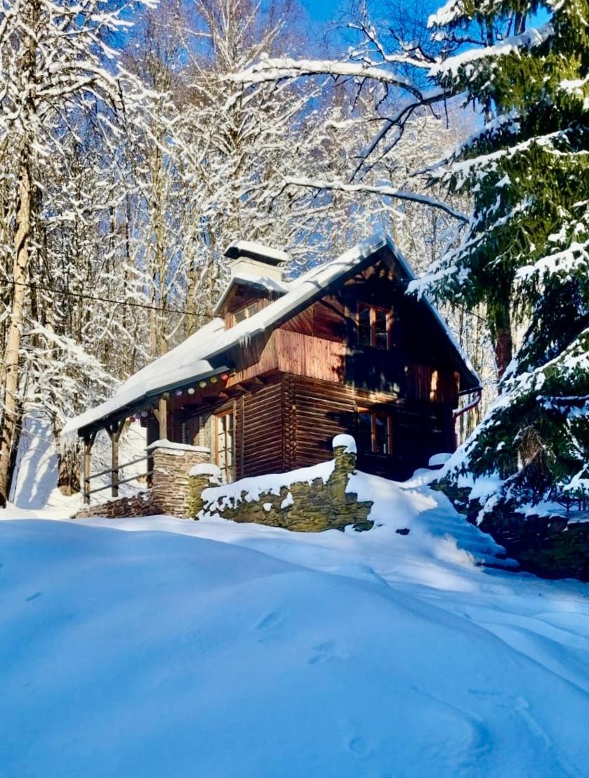 Srub V Bolkovskem Udoli Villa Rudník Exteriör bild