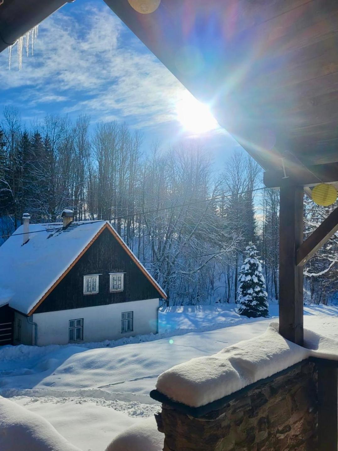 Srub V Bolkovskem Udoli Villa Rudník Exteriör bild