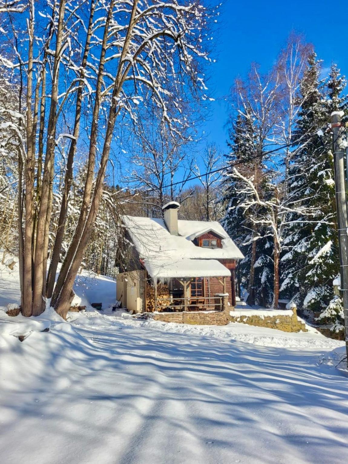 Srub V Bolkovskem Udoli Villa Rudník Exteriör bild